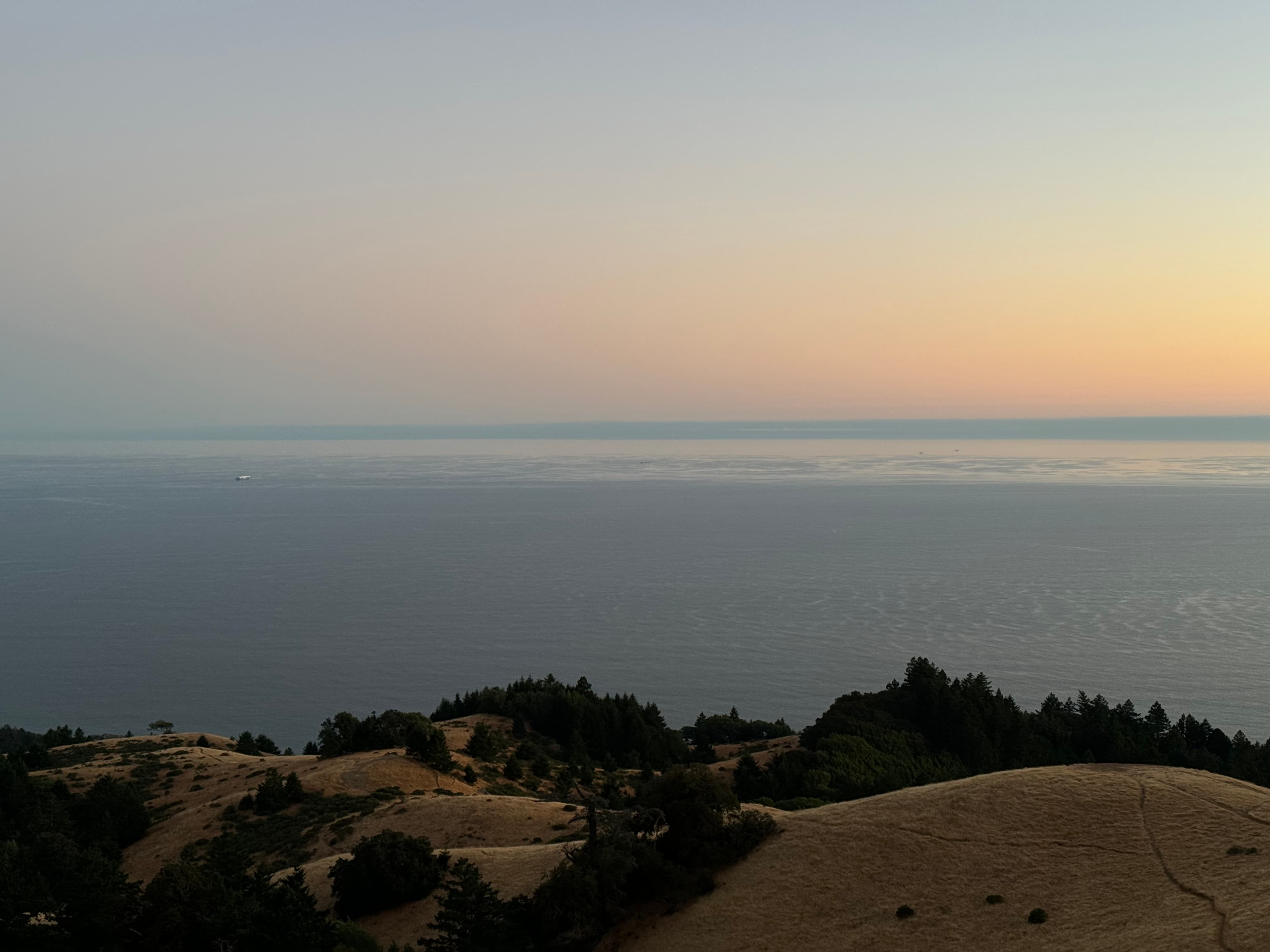 Mount Tam