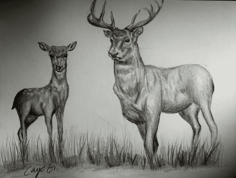 stag and a doe for mum